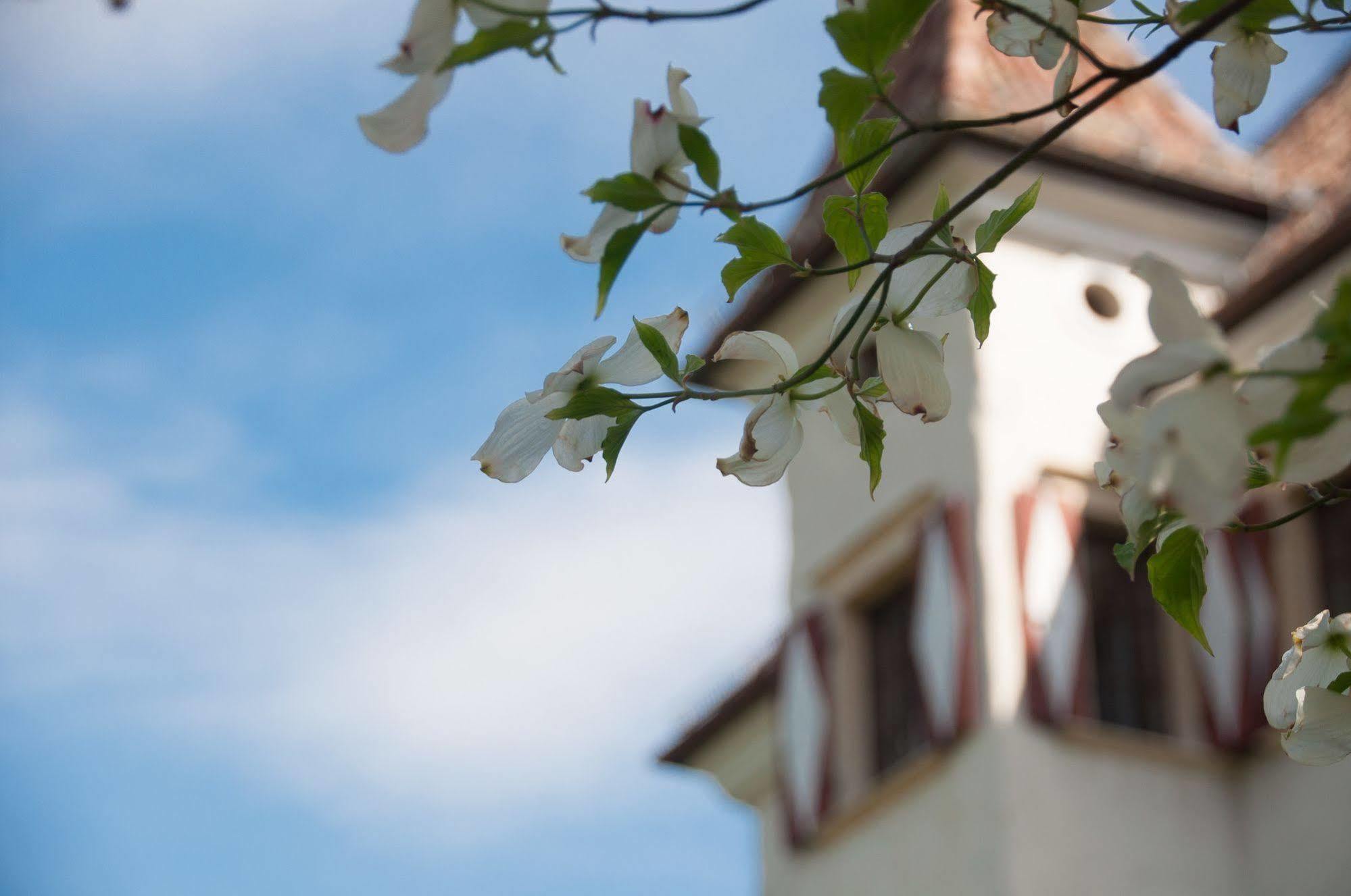 Hotel Castel Rundegg Meran